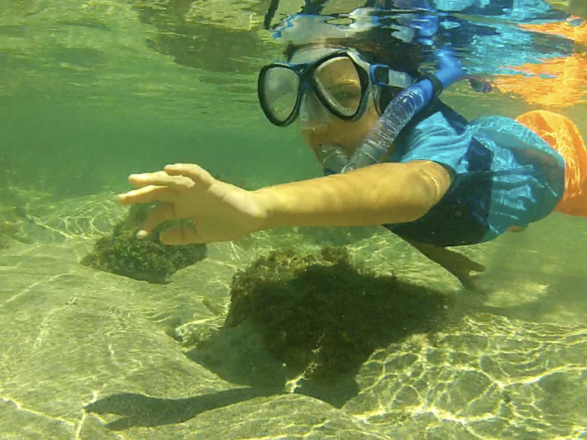 SNORKELING TOUR