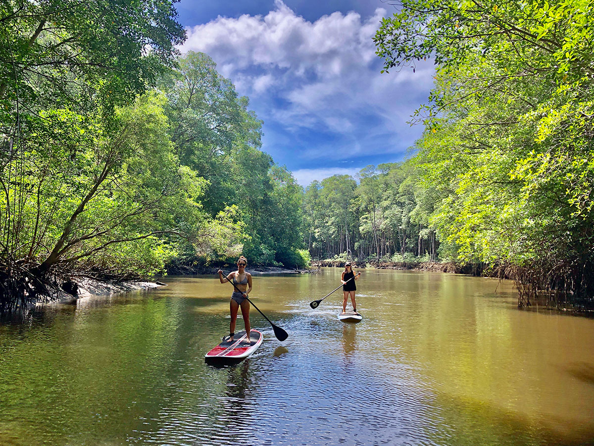 PADDLE BOARD TOUR/LESSON